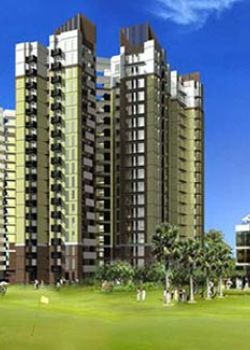 Amrapali Golf Homes, Sector 62 Noida