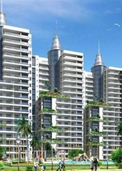 Amrapali Eden Park, Sector 62 Noida