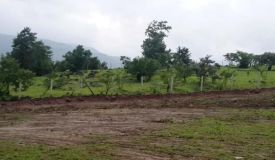 Sahyadri Classic