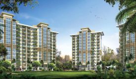 Emaar Palm Terraces Select, Gurgaon - Residential Floors
