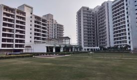 Cosmos Express 99, Gurgaon - 2/3/4 BHK Apartment