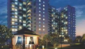 Cosmos Express 99, Gurgaon - 2/3/4 BHK Apartment