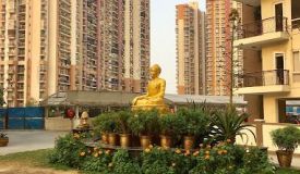 Niho Scottish Gardens, Ghaziabad - 2/3 BHK Apartments