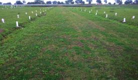 Airport House, Nashik - Residential Plot