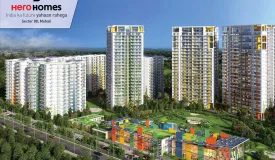 Hero Homes
