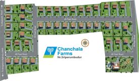 Manju Chanchala Farms, Chennai - Manju Chanchala Farms