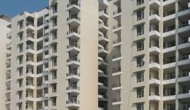 SBP Southcity, Zirakpur - SBP Southcity