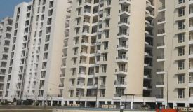 SBP Southcity, Zirakpur - SBP Southcity