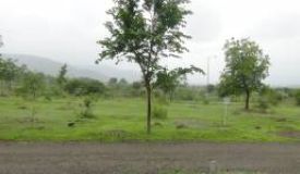 Sairung Victoria, Pune - Sairung Victoria