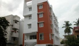Golden Nugget, Chennai - Golden Nugget