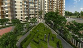 Sree Daffodils Avenue, Pune - Sree Daffodils Avenue