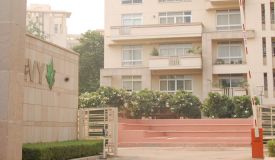 Silverglades The Ivy, Gurgaon - Silverglades The Ivy