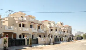 Alliance Anmol