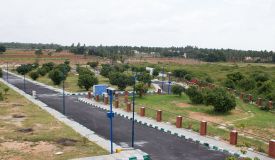 Shree Durga Prakruthi, Bangalore - Shree Durga Prakruthi