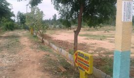 Manani Woods II, Bangalore - Manani Woods II