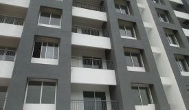 Plama Citius, Mangalore - Plama Citius