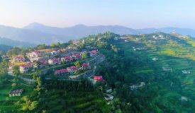 Shikhar Pine Greens, Nainital - Shikhar Pine Greens