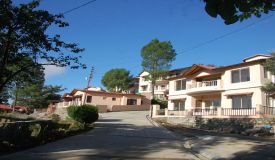 Shikhar Pine Greens, Nainital - Shikhar Pine Greens