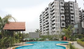 Shree Balaji Status, Mehsana - Shree Balaji Status