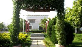 NK Villa Springs, Hyderabad - NK Villa Springs