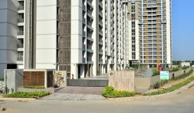 Goyal Orchid Harmony, Ahmedabad - Goyal Orchid Harmony