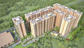 HAMPTON HOMES