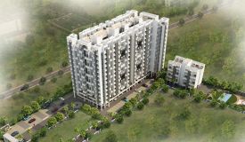 Sonigara Neelangan, Pune - Sonigara Neelangan