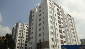 Newry Celio, Chennai - Newry Celio