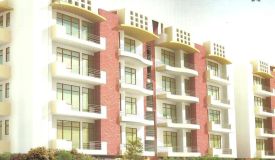 Pristine Homes, Udham Singh Nagar - 2 BHK & 3 BHK Apartments