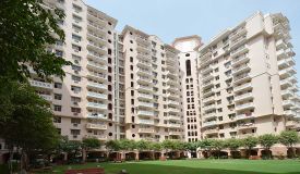 DLF Wellington Estate, Gurgaon - DLF Wellington Estate
