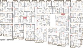Adithya Elan, Bangalore - Adithya Elan
