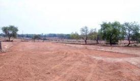 Apollo Kanak Nagar