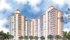 Amrapali Royal, Ghaziabad - Amrapali Royal