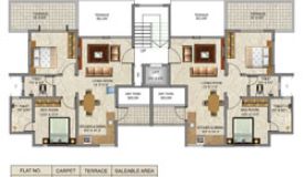 Austin Belvedere, Pune - Austin Belvedere