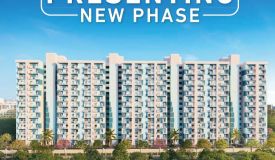Tata New Haven