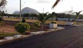 Oxygen County, Hyderabad - Residential Plot
