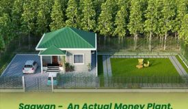 Oxygreen Farm, Nagpur - Farm Land