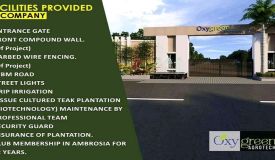 Oxygreen Farm, Nagpur - Farm Land