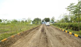 Valluru-Narayankhed, Sangareddy - Farm Land