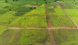 Valluru-Narayankhed, Sangareddy - Farm Land