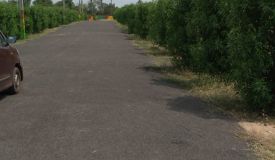 Pranav Smart City, Rajahmundry - Residential Plot