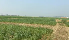 Punchmurti Harit Valley