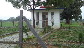 Sai Maya, Bilaspur, Chhattisgarh - 1 & 3 BHK Individual Houses