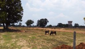 Sai Maya, Bilaspur, Chhattisgarh - 1 & 3 BHK Individual Houses