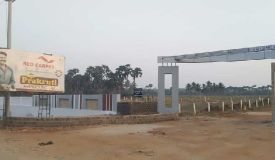 Red Carpet, Visakhapatnam - Residential Plots