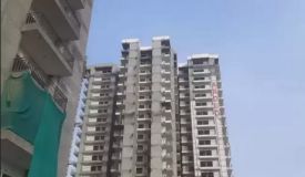 Arocon Rainbow, Ghaziabad - Arocon Rainbow