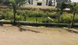 Defence Empire, Greater Noida - Residential Plots