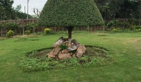 Ansal Aravali Retreat Farmhouse, Gurgaon - Luxury Farm House