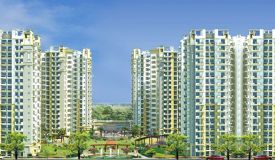 Royal Court, Greater Noida - 2/3 BHK Luxury Apartments