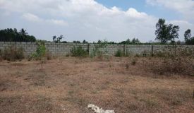 Anish Palms, Bangalore - Anish Palms